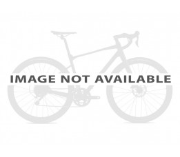 Giant Dailytour E+, Zwart