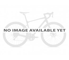 Giant Dailytour E+, Zwart