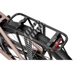 Sparta C-grid Energy Dames New Pink Matt 51cm 2024