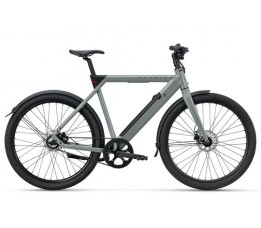 Raleigh One Heren Sage Grey 58cm 2026