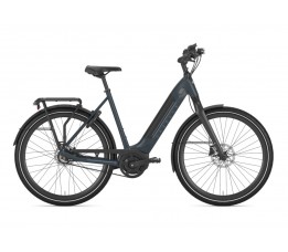 Gazelle Ultimate C8+ Hmb Belt, Orion Blue Mat
