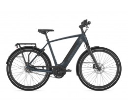Gazelle Ultimate C8+ Hmb Belt, Orion Blue Mat