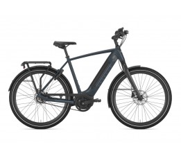 Gazelle Ultimate C8+ Hmb Belt, Orion Blue Mat