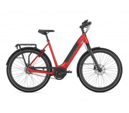 Gazelle Ultimate C8+ Hmb Belt, Champion Red Glans