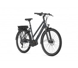 Gazelle Medeo T9 Hmb, Anthracite Grey Glans