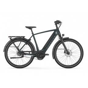 Gazelle Ultimate C8+ Heren Pine Green Glans 57cm 2024