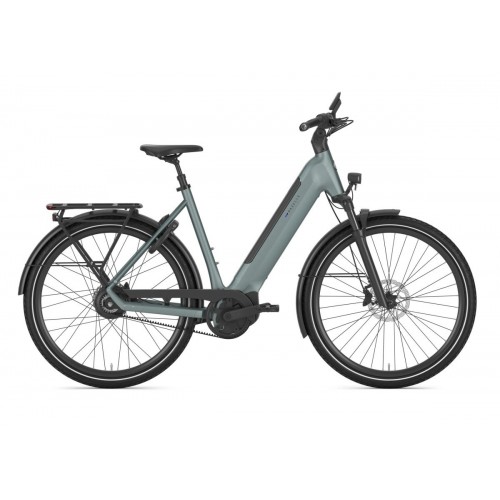 Gazelle Ultimate C380 Dames Dew Green Mat 49cm 2026 Gazelle Ultimate C380 Dames Dew Green Mat 49cm 2026