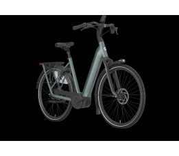 Gazelle Grenoble C310 Dames Dew Green Mat 53cm 2027