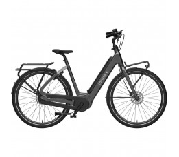 Cortina Dames 50cm 2024